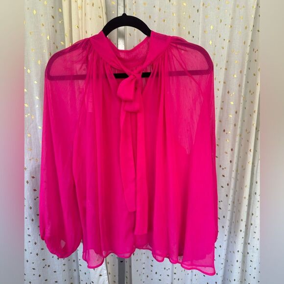 Zara Blogger's Favorite High Neck Sheer Pleated Balloon Sleeve Back Tie Blouse S - Picture 8 of 11
